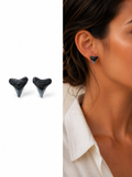 Bare & Unearthed — Natural Shark Tooth Earrings