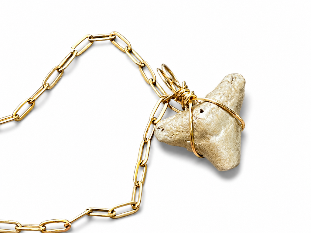 Shark Tooth Necklace | Gold Paperclip Chain | Fossil Tooth Jewelry | Venice Florida | Handmade | 16 or 18 Inch