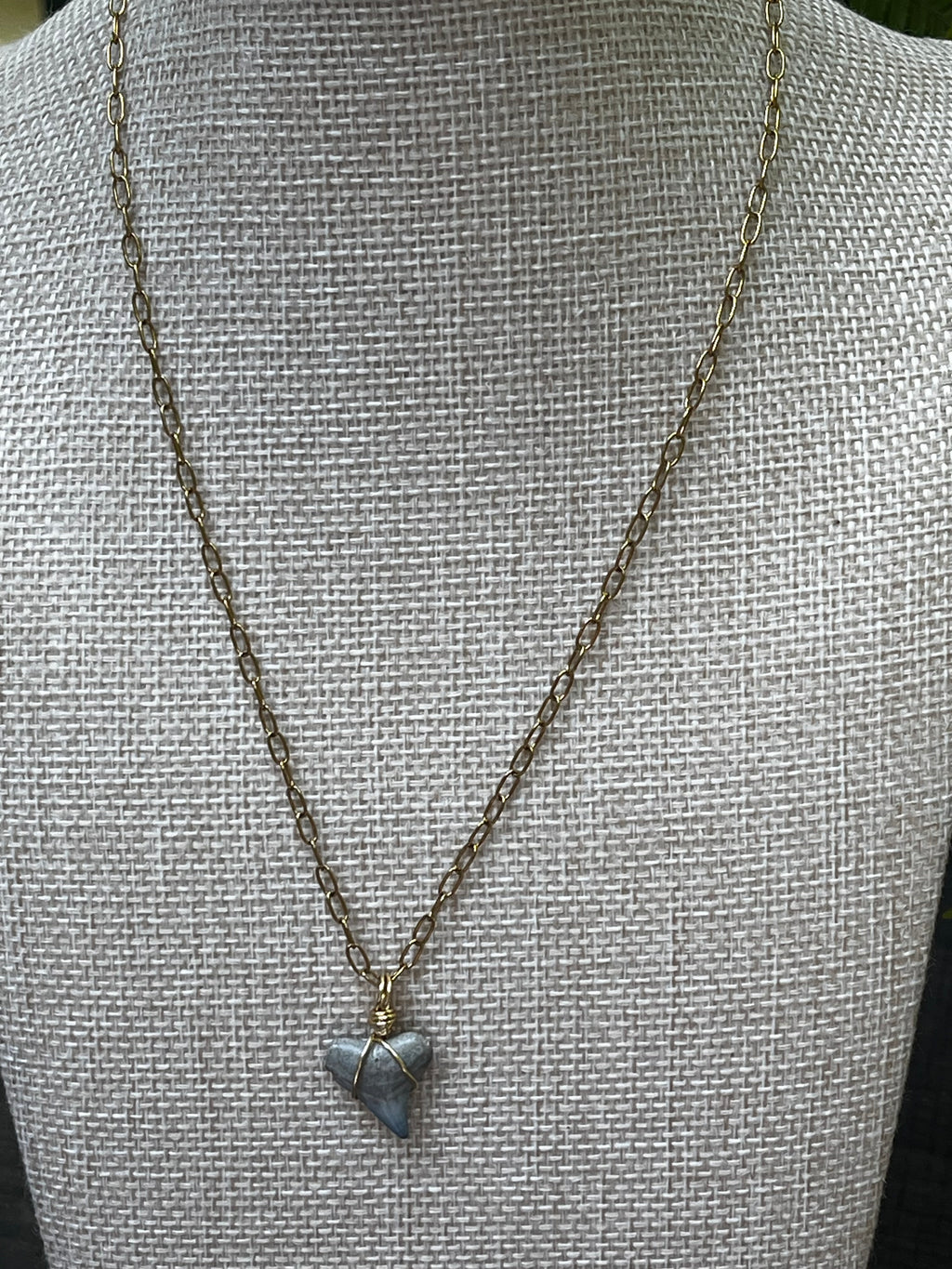 Something Blue Chomp Fossils & Jewelry — Unearthed