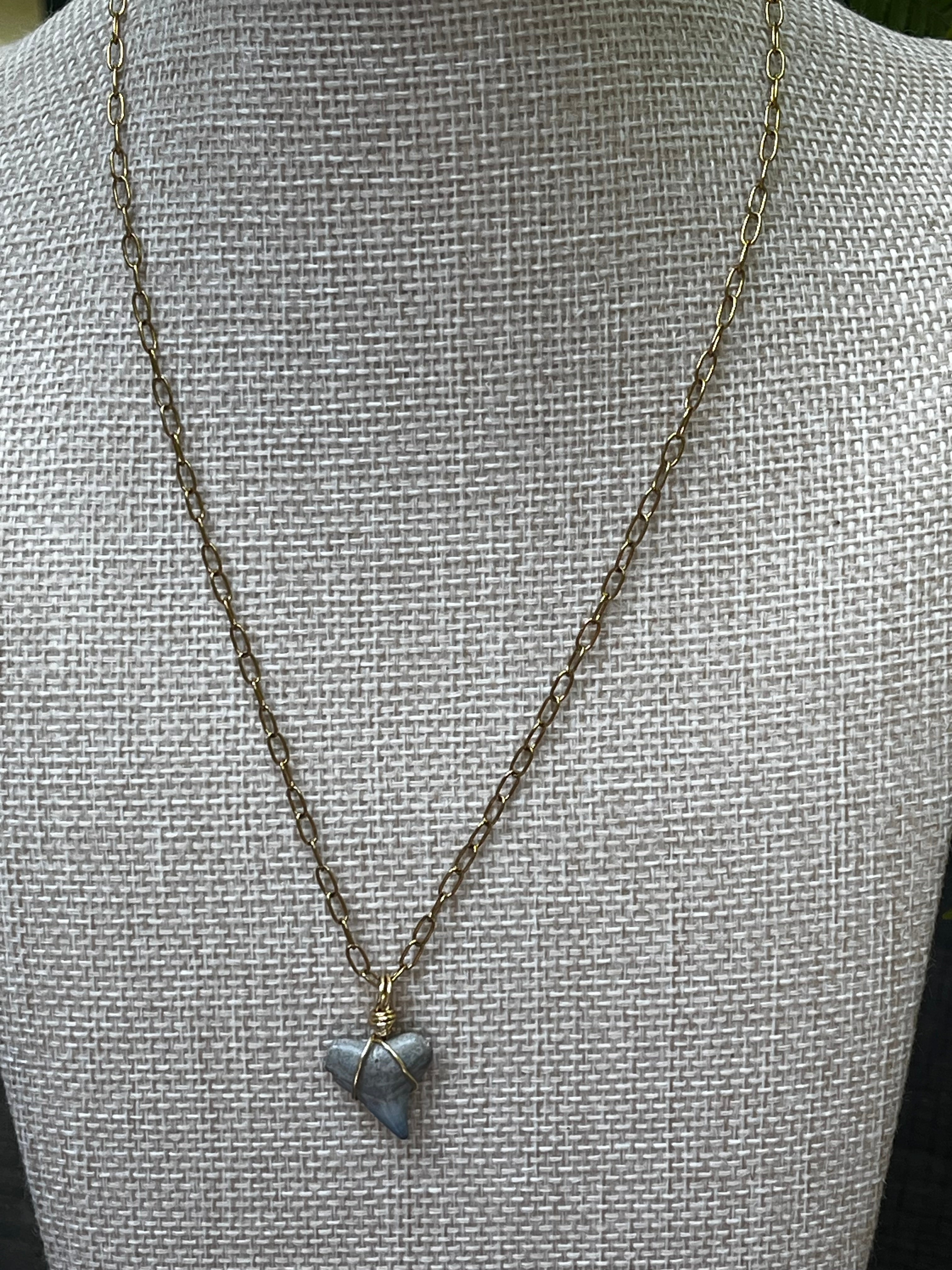 Something Blue Chomp Fossils & Jewelry — Unearthed