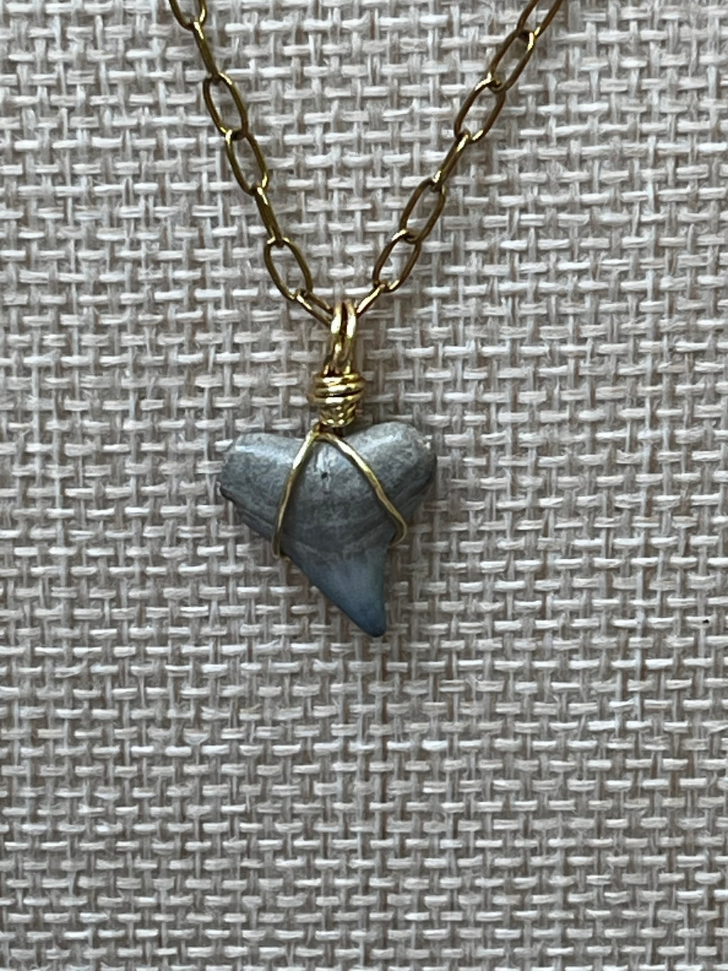Something Blue Chomp Fossils & Jewelry — Unearthed