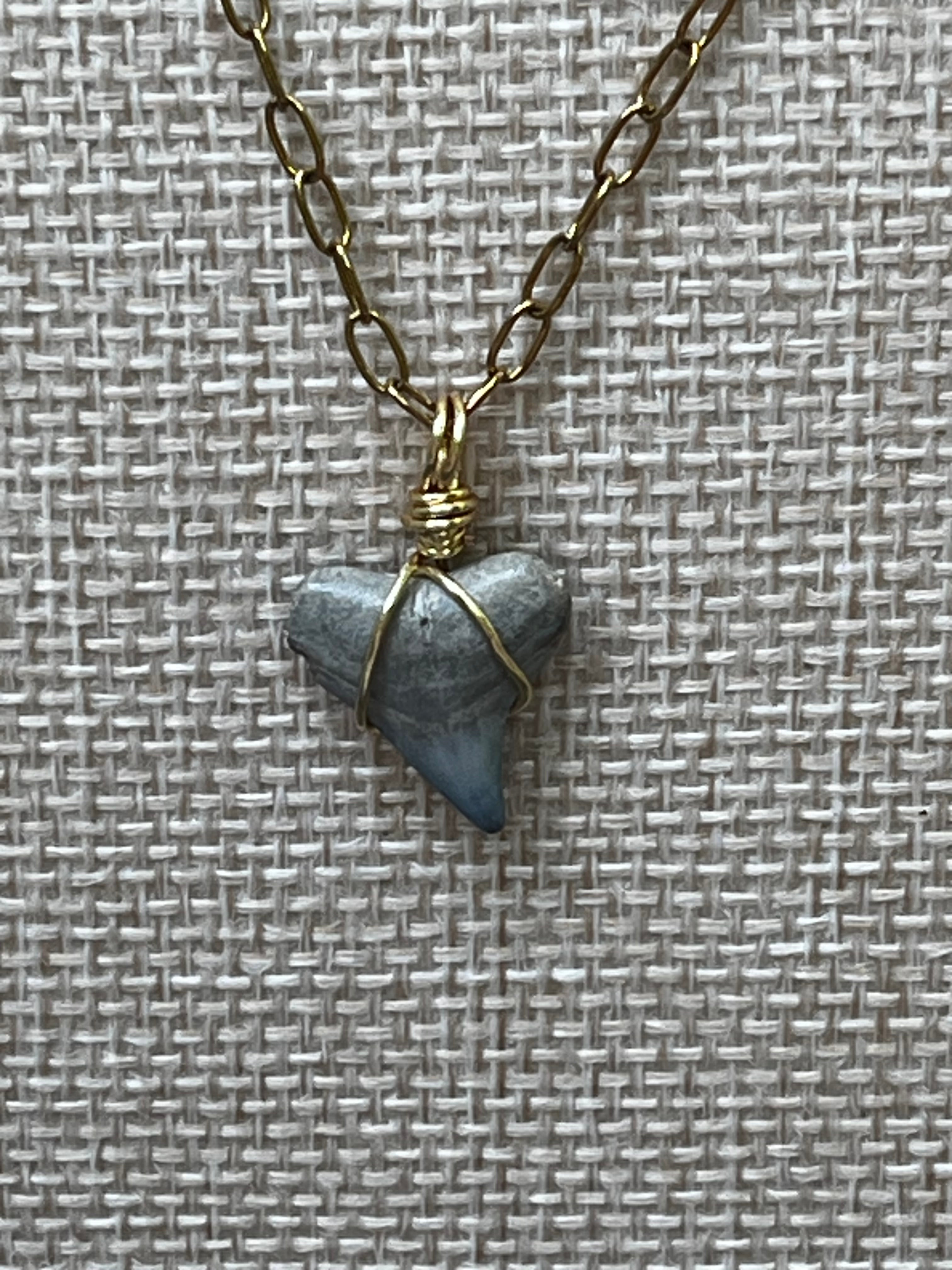 Something Blue Chomp Fossils & Jewelry — Unearthed
