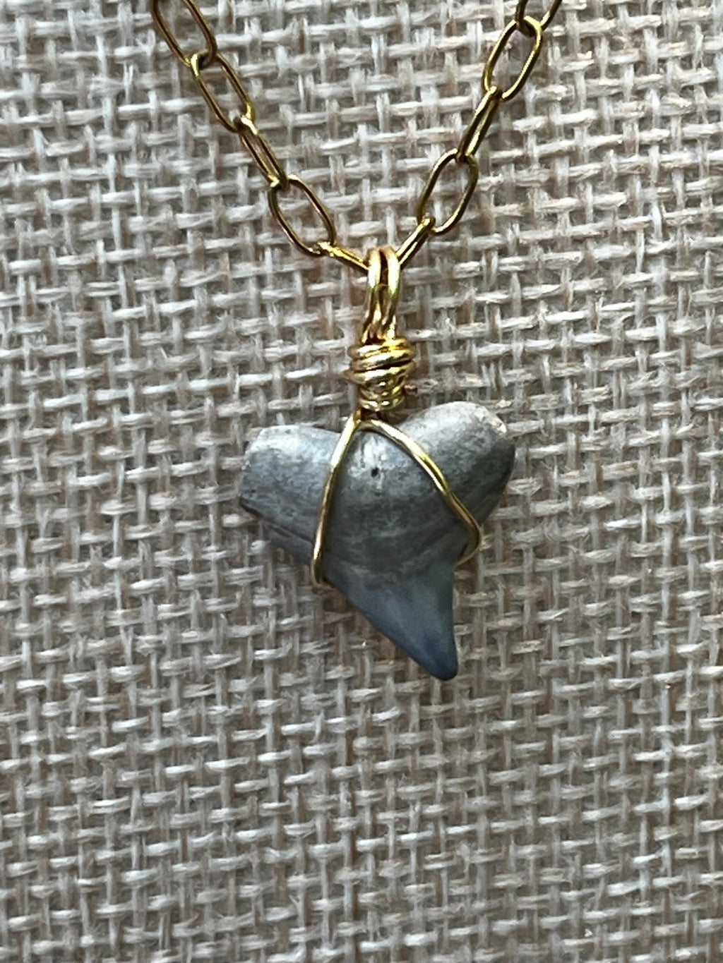 Something Blue Chomp Fossils & Jewelry — Unearthed