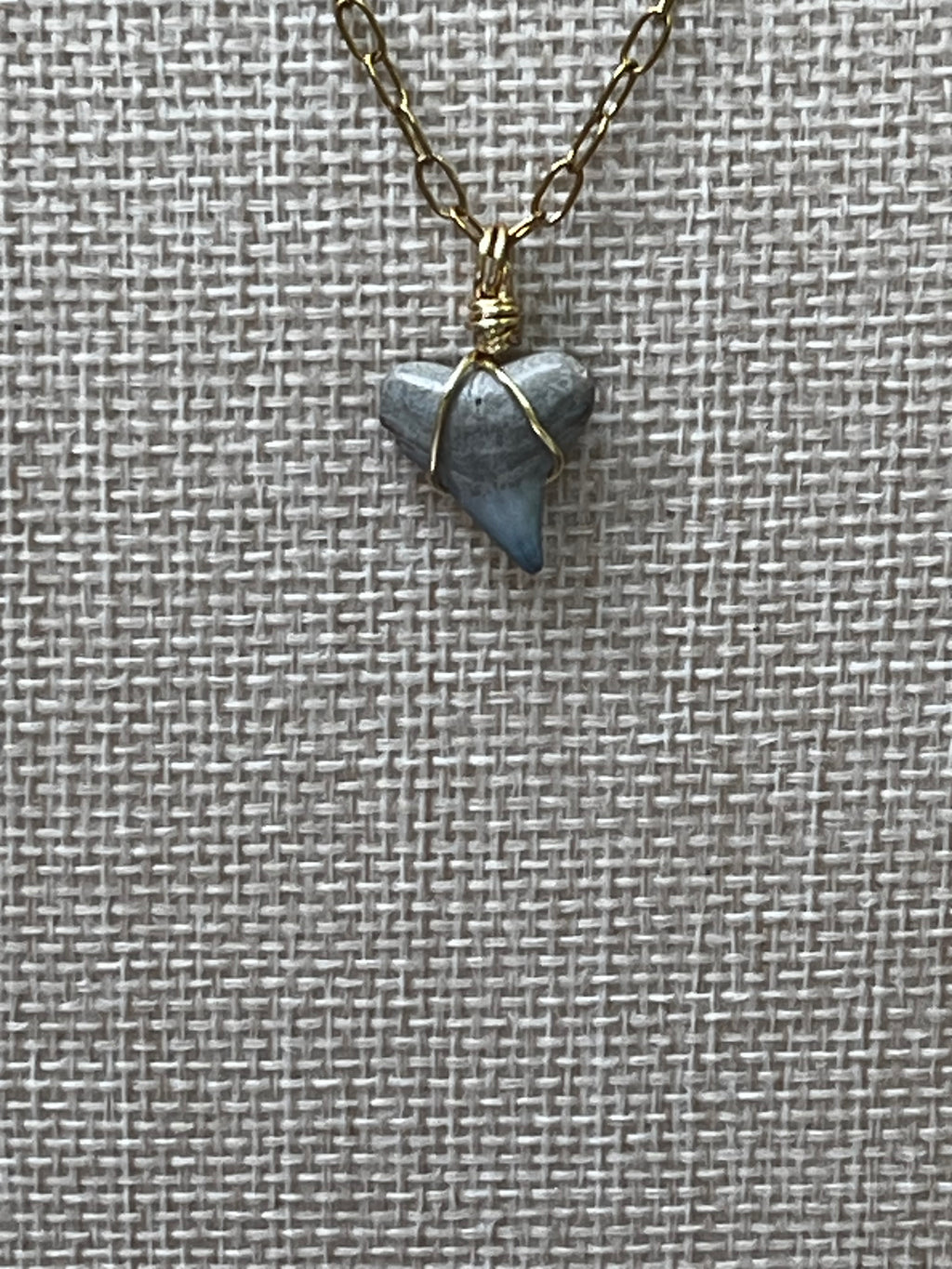 Something Blue Chomp Fossils & Jewelry — Unearthed