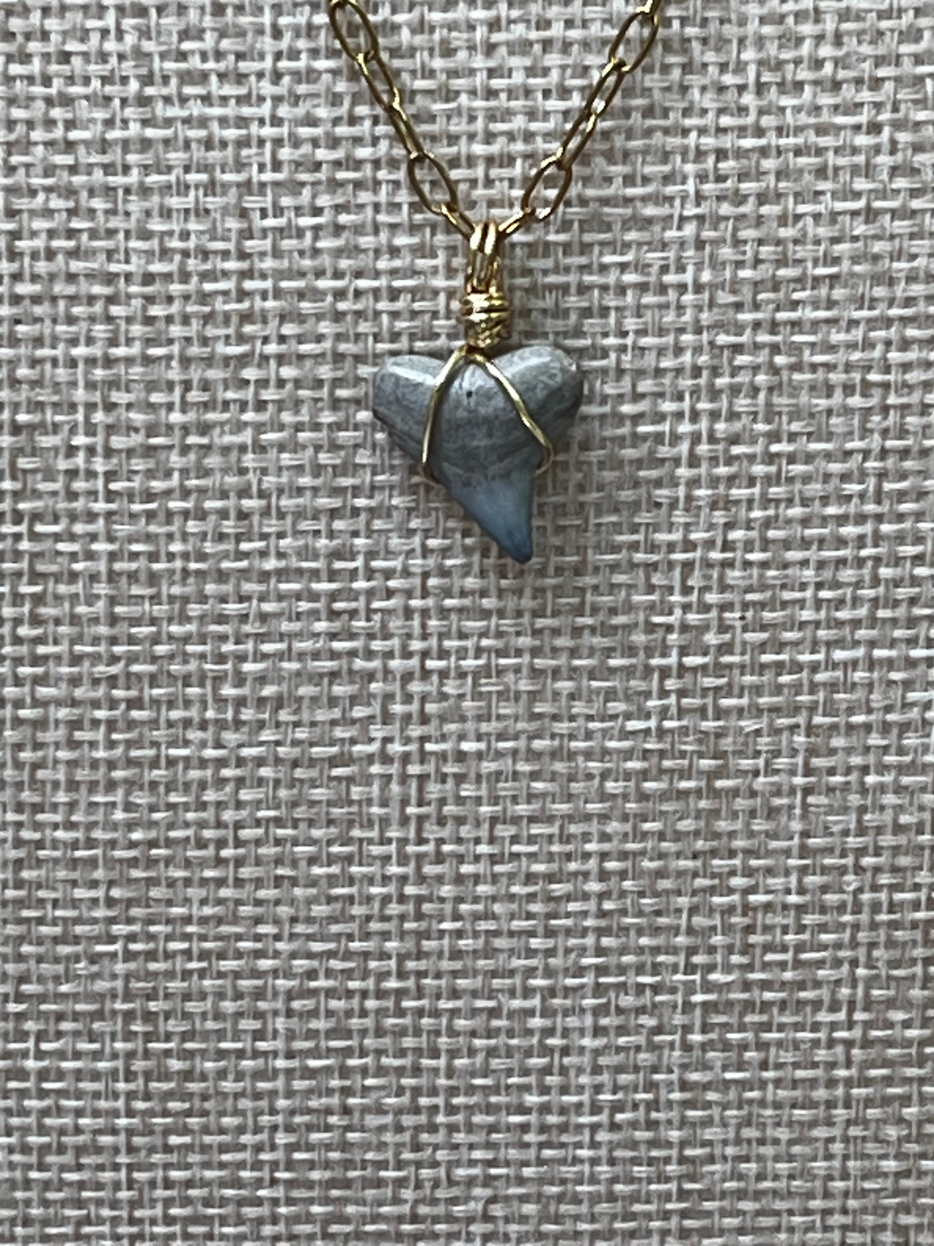 Something Blue Chomp Fossils & Jewelry — Unearthed