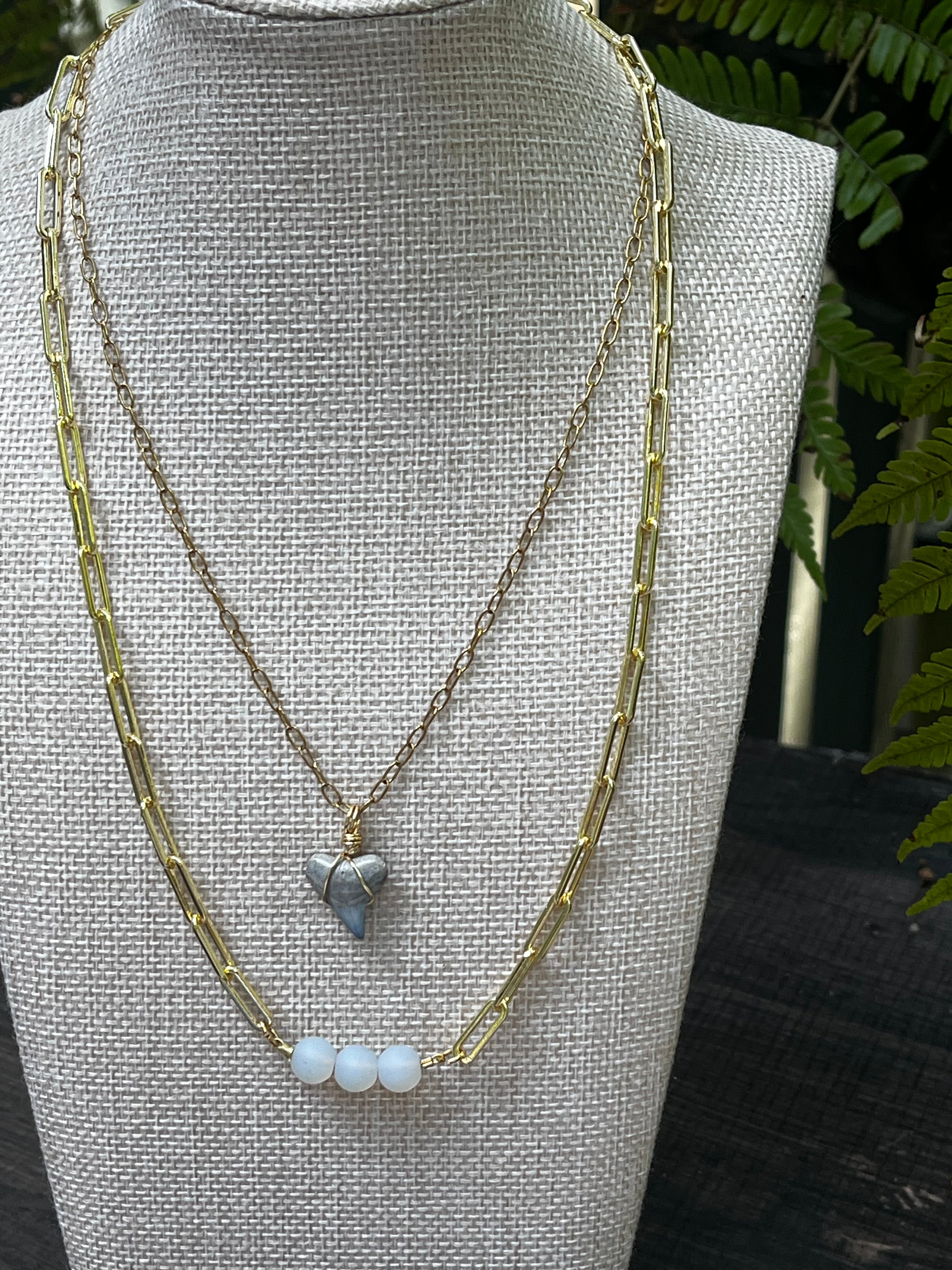 Still & Blue Chomp Fossils & Jewelry — Unearthed | LAYERED SET
