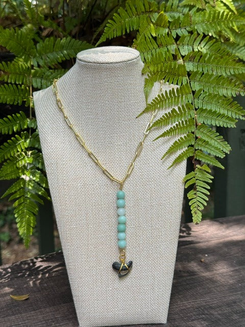 Tortoiseshell & Tide Chomp Fossils & Jewelry — Wear History