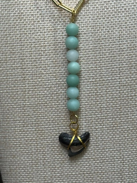 Tortoiseshell & Tide Chomp Fossils & Jewelry — Wear History