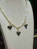 Midnight Trio Chomp Fossils & Jewelry — Wear History