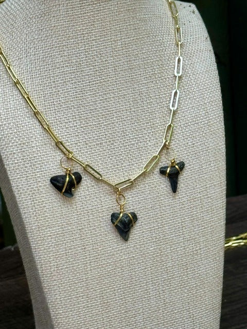 Midnight Trio Chomp Fossils & Jewelry — Wear History