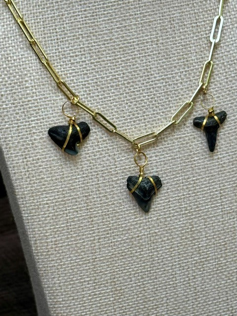 Midnight Trio Chomp Fossils & Jewelry — Wear History