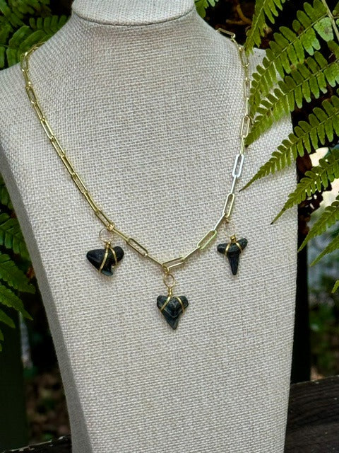 Midnight Trio Chomp Fossils & Jewelry — Wear History