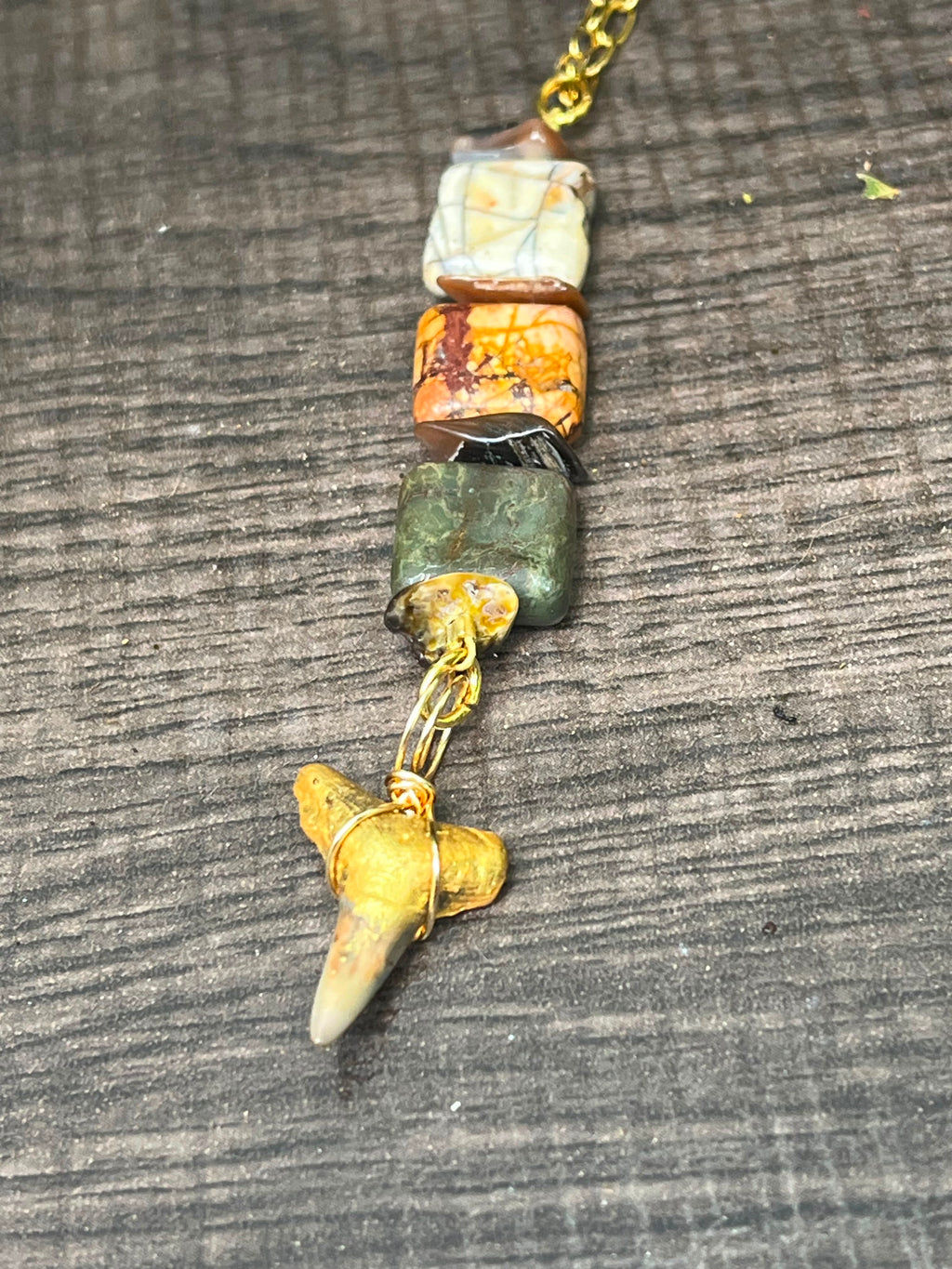 The Becoming Chomp Fossils & Jewelry — Unearthed