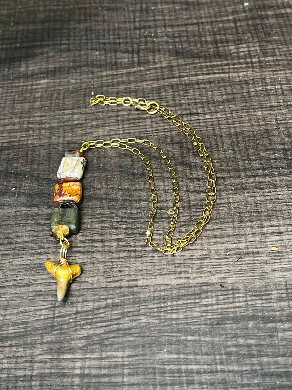 The Becoming Chomp Fossils & Jewelry — Unearthed