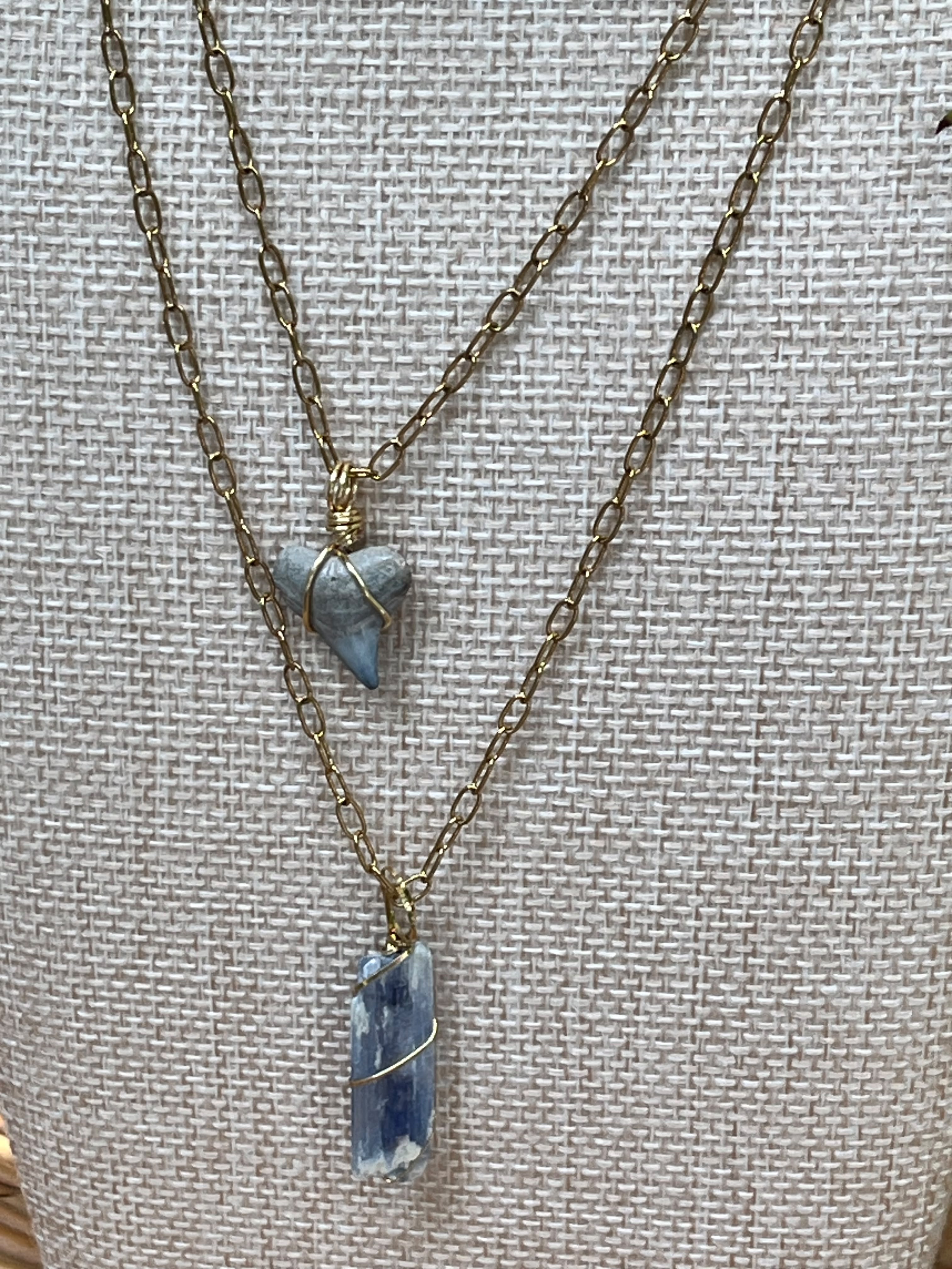 Storm Sisters Chomp  Fossils  &  Jewelry  —  Wear  History  |  SET  OF  TWO