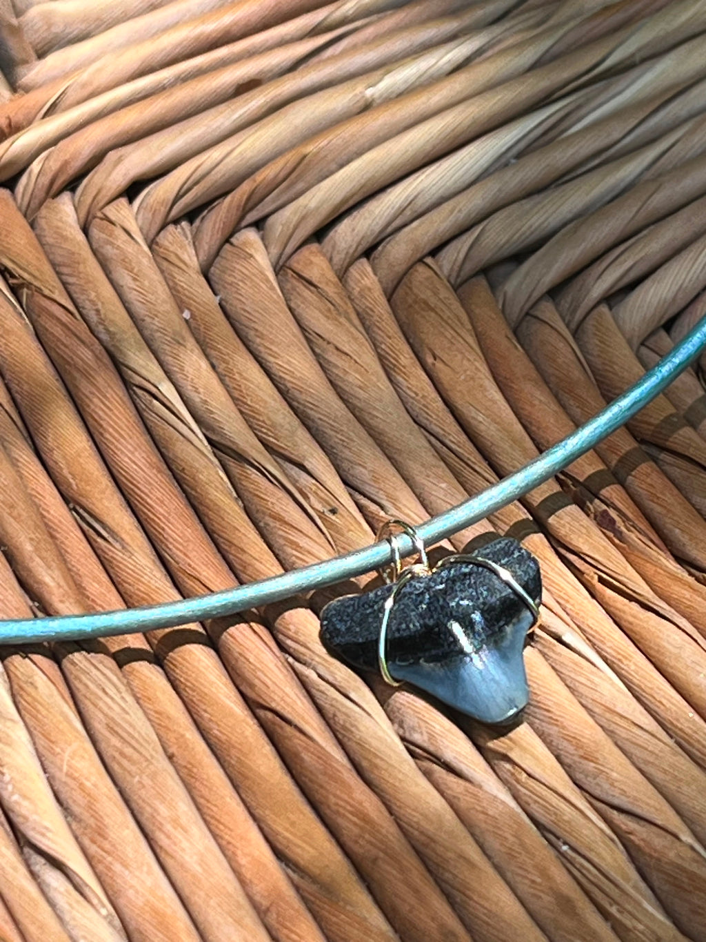 Shark Tooth Necklace | Turquoise Leather Cord | Fossil Tooth Jewelry | Venice Florida | Handmade | 16 or 18 Inch