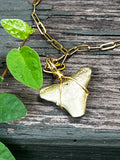 Shark Tooth Necklace | Gold Paperclip Chain | Fossil Tooth Jewelry | Venice Florida | Handmade | 16 or 18 Inch