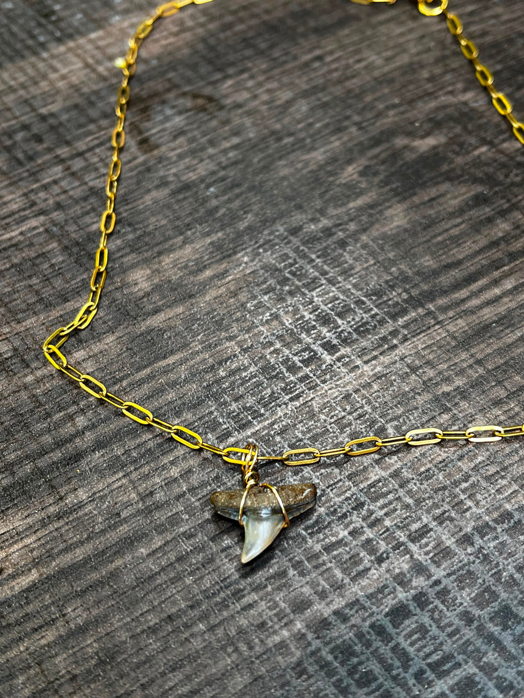 Shark Tooth Necklace | Gold Paperclip Chain | Fossil Tooth Jewelry | Venice Florida | Handmade | 16 or 18 Inch