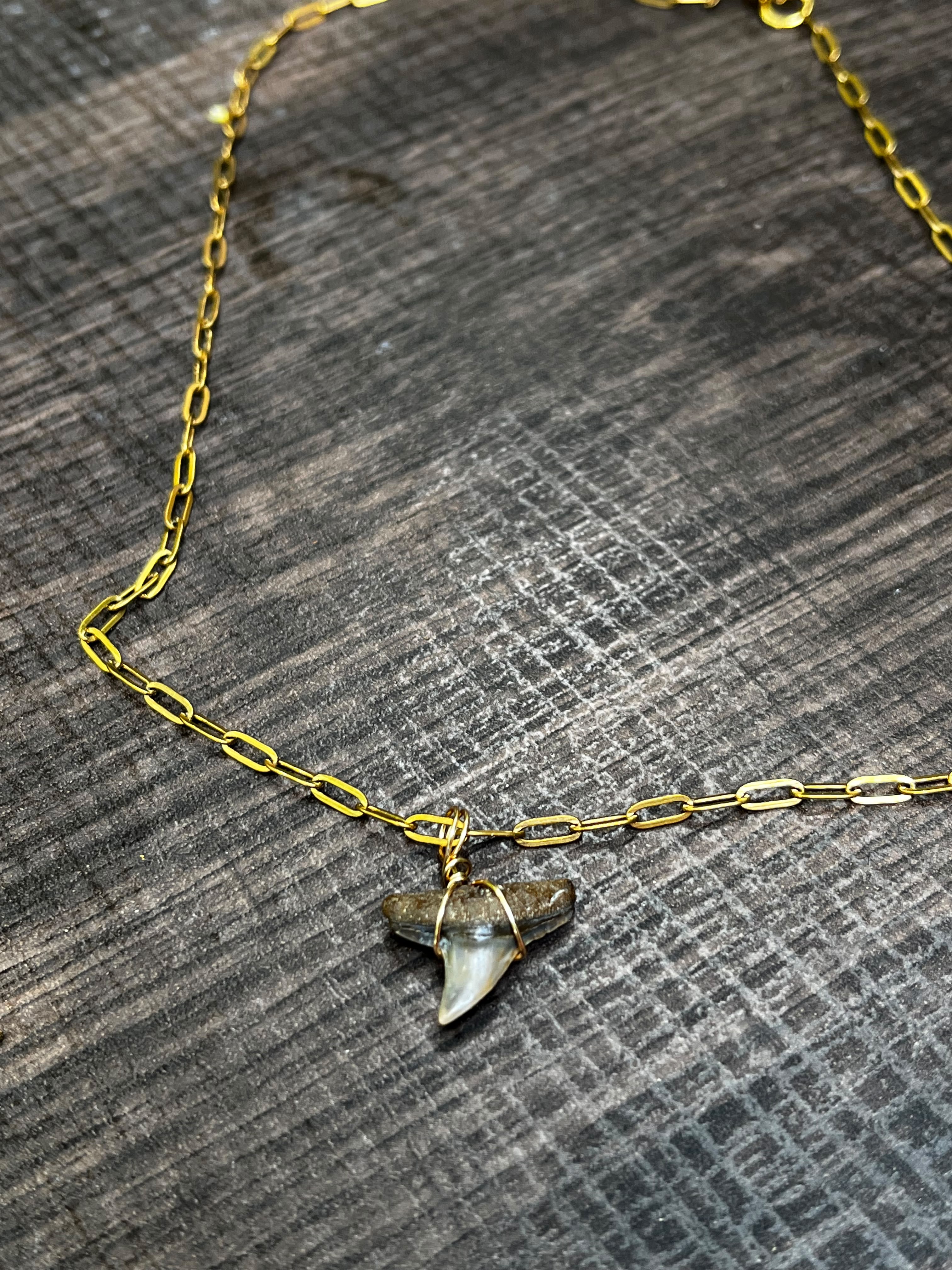 Shark Tooth Necklace | Gold Paperclip Chain | Fossil Tooth Jewelry | Venice Florida | Handmade | 16 or 18 Inch