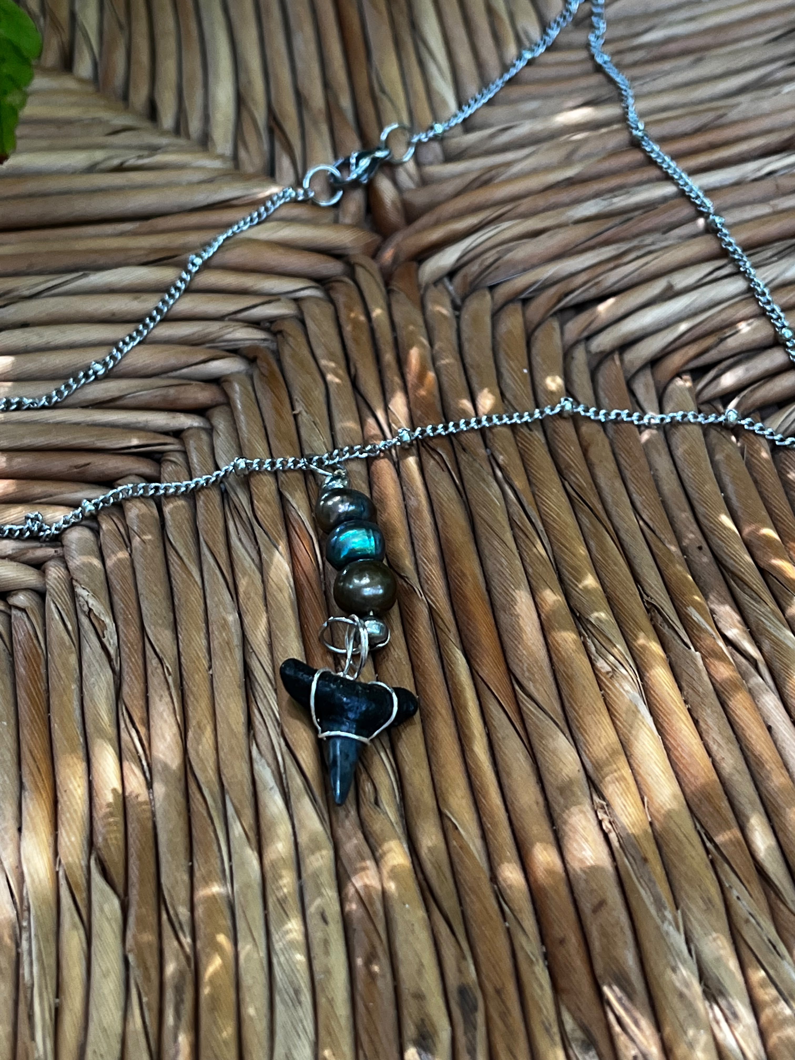 Beautifully Broken  Hastalis Fossil Shark Tooth & Morganite Necklace