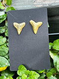 Gilded Pair — Gold Hand-Painted Shark Tooth Earrings