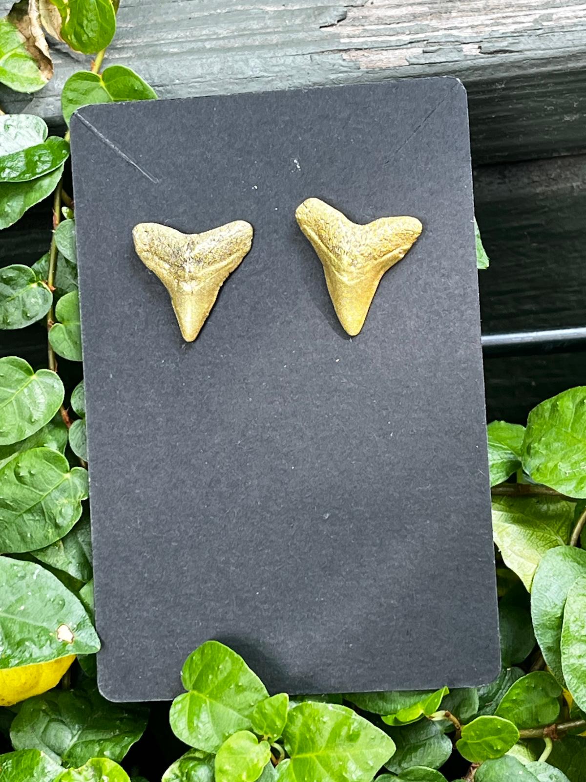Gilded Pair — Gold Hand-Painted Shark Tooth Earrings