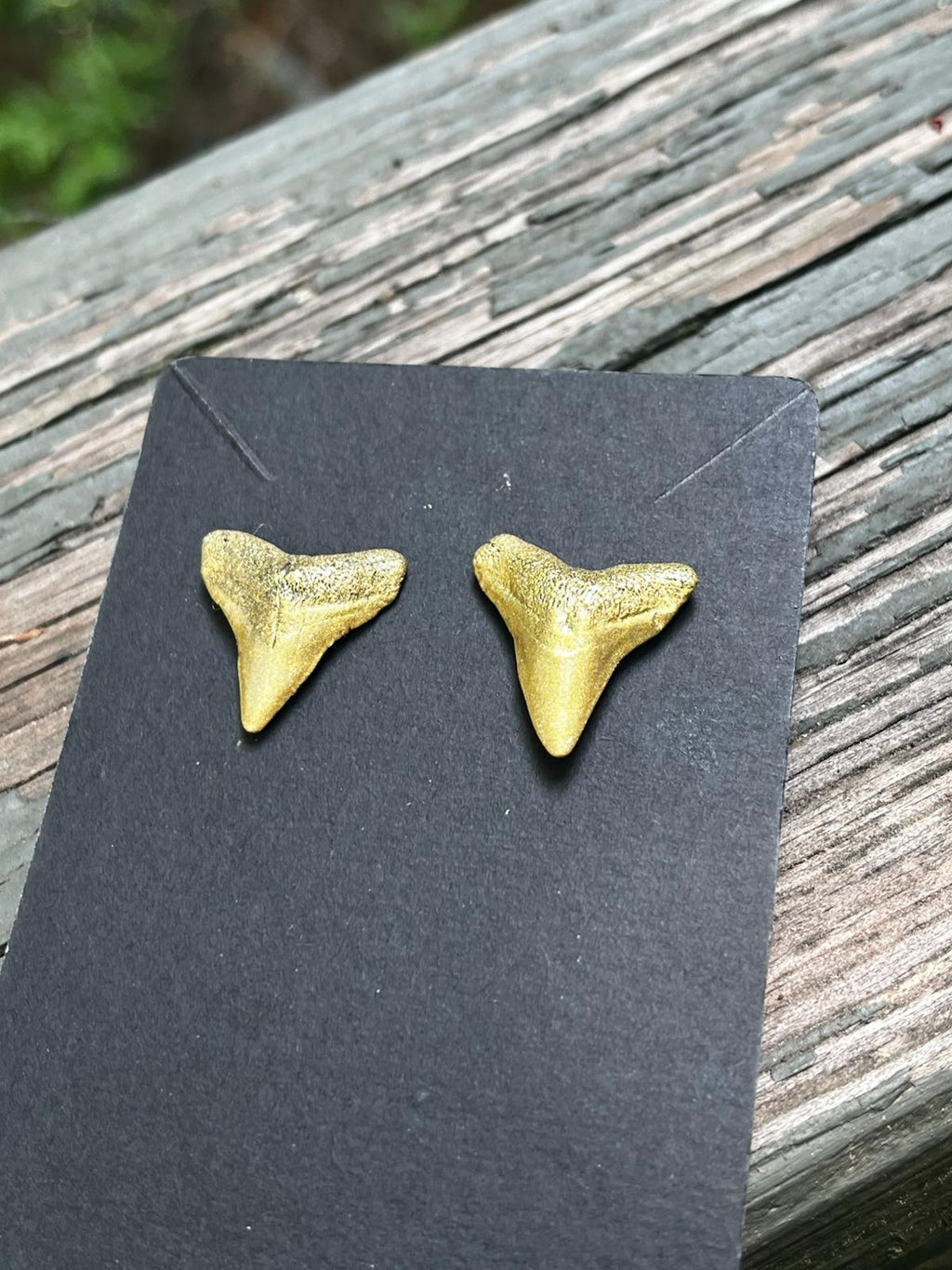 Gilded Pair — Gold Hand-Painted Shark Tooth Earrings