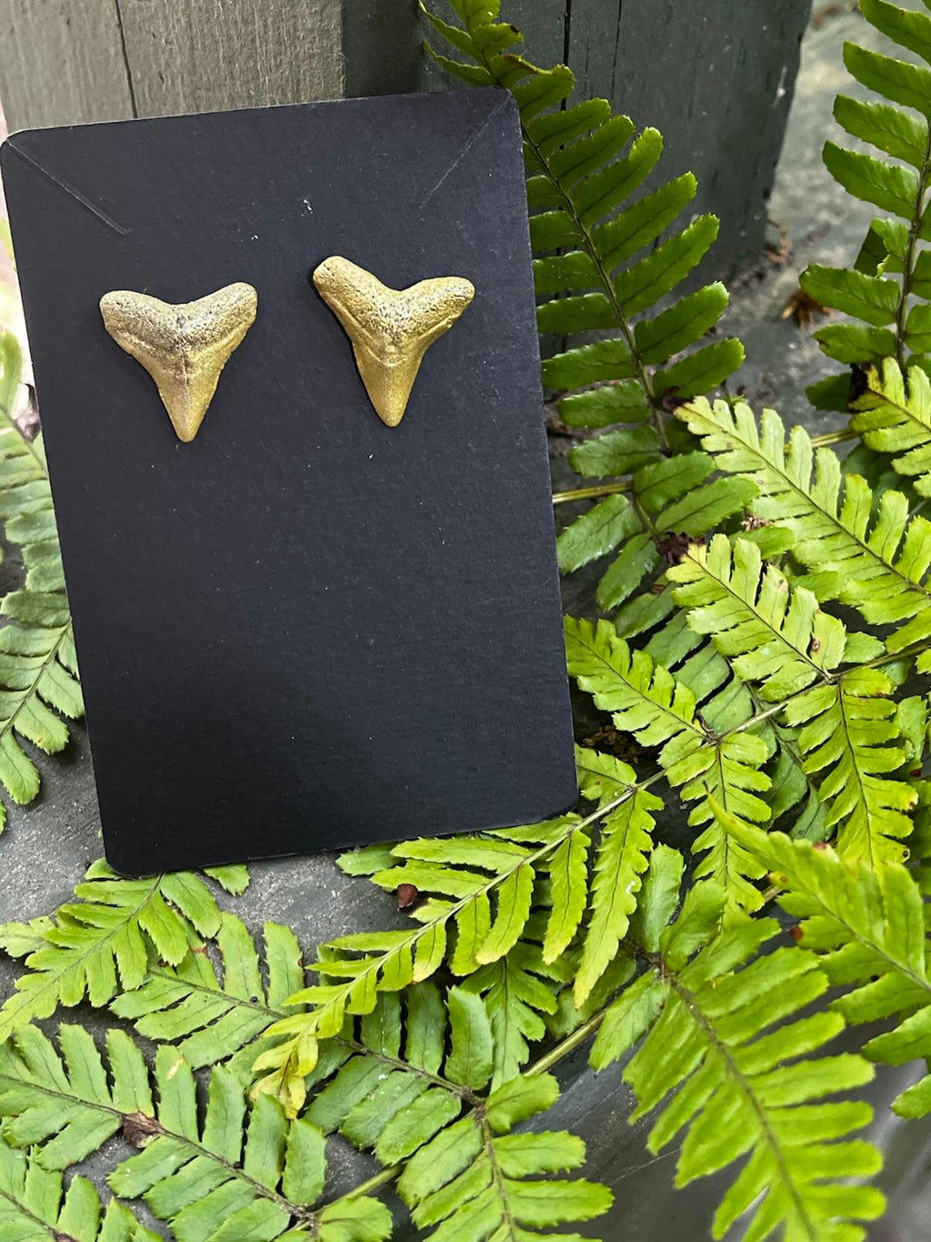 Gilded Pair — Gold Hand-Painted Shark Tooth Earrings