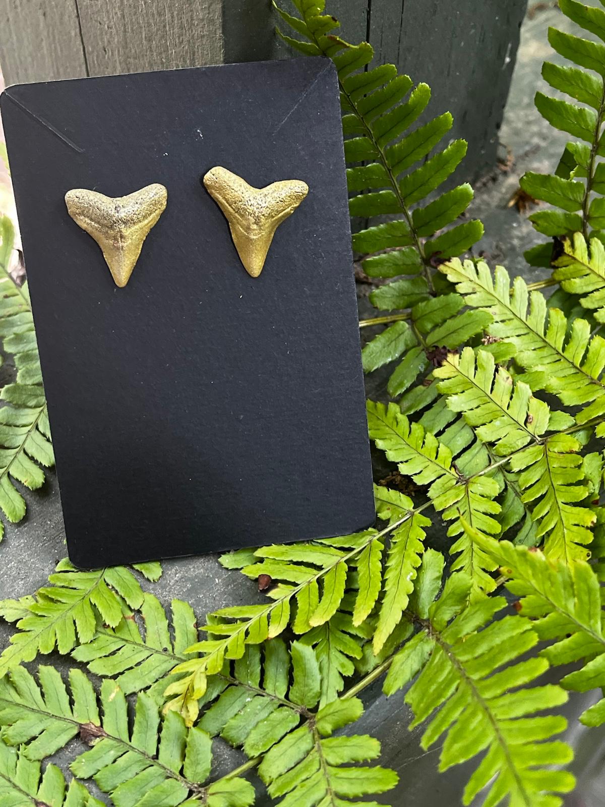 Gilded Pair — Gold Hand-Painted Shark Tooth Earrings