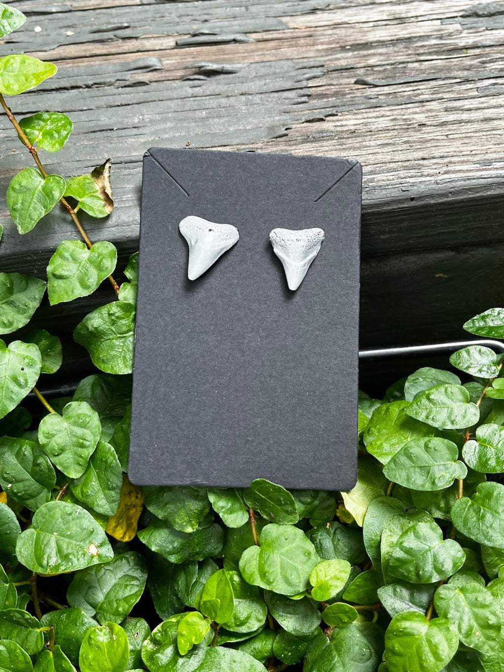 Silvered Pair — Silver Hand-Painted Shark Tooth Earrings