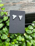 Silvered Pair — Silver Hand-Painted Shark Tooth Earrings