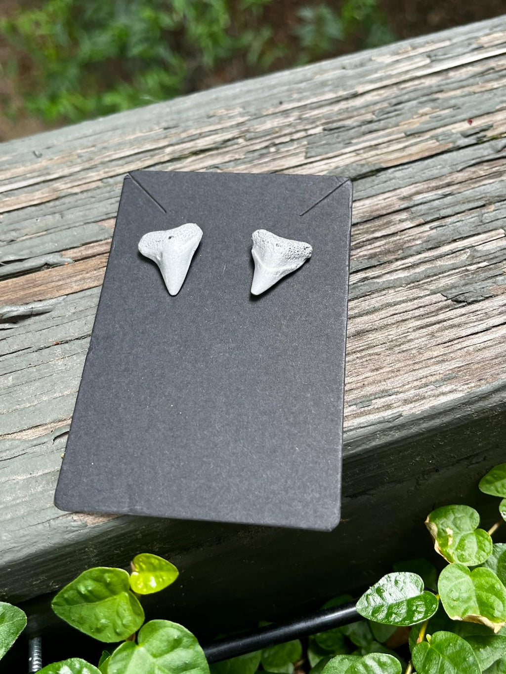 Silvered Pair — Silver Hand-Painted Shark Tooth Earrings