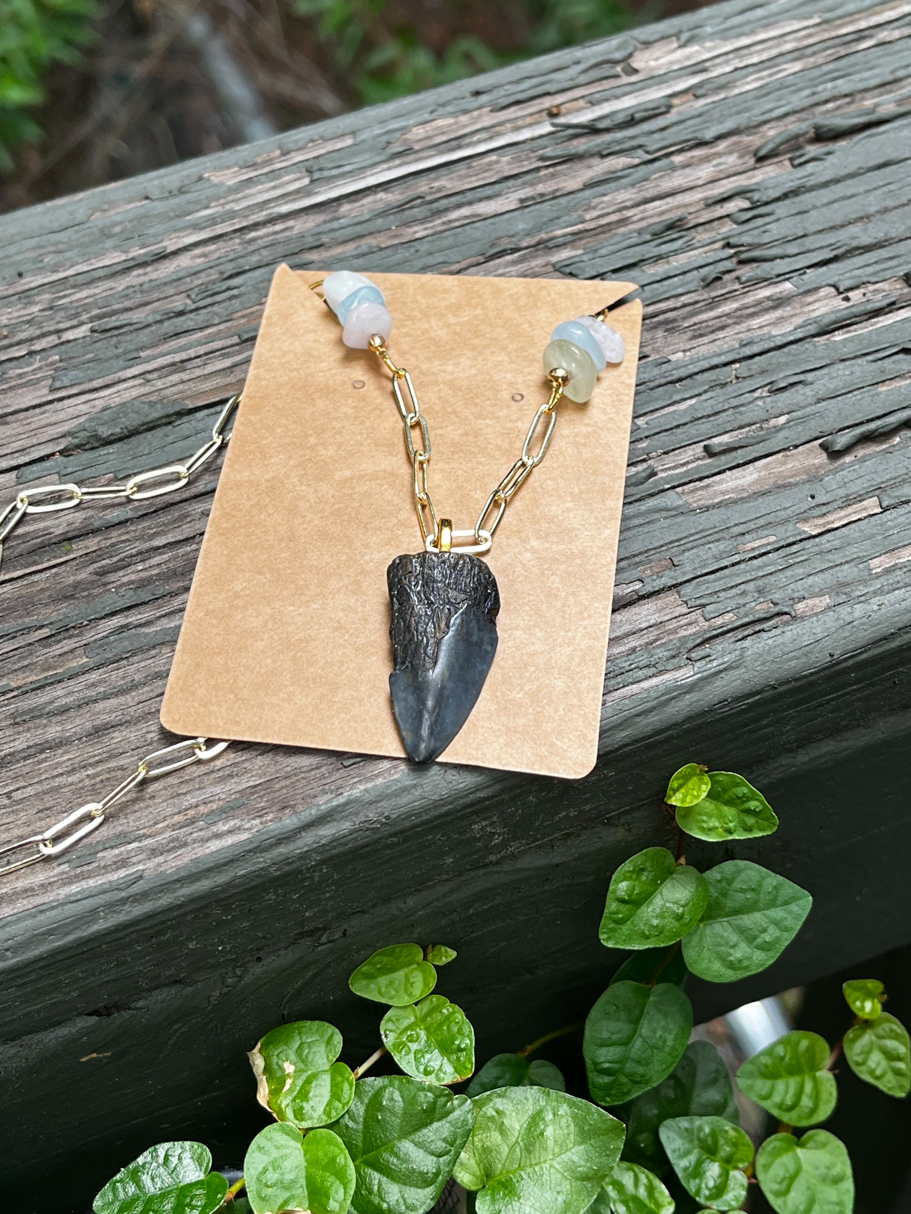 Beautifully Broken Necklace — Hastalis Shark Tooth & Morganite | Fossil Shark Tooth Jewelry | Venice FL Collection