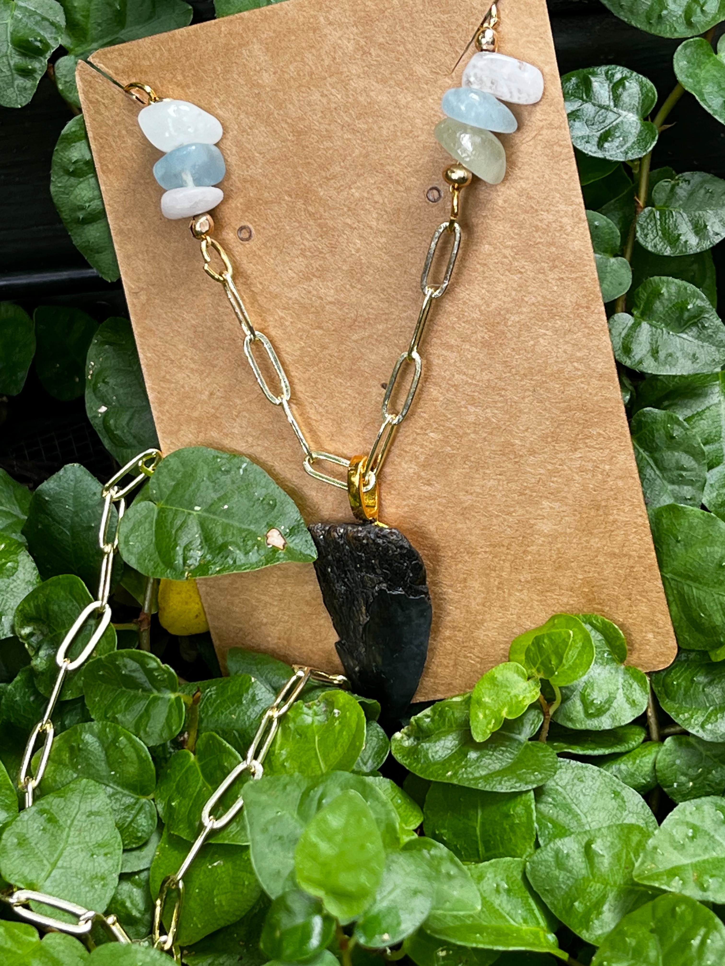 Beautifully Broken Necklace — Hastalis Shark Tooth & Morganite | Fossil Shark Tooth Jewelry | Venice FL Collection