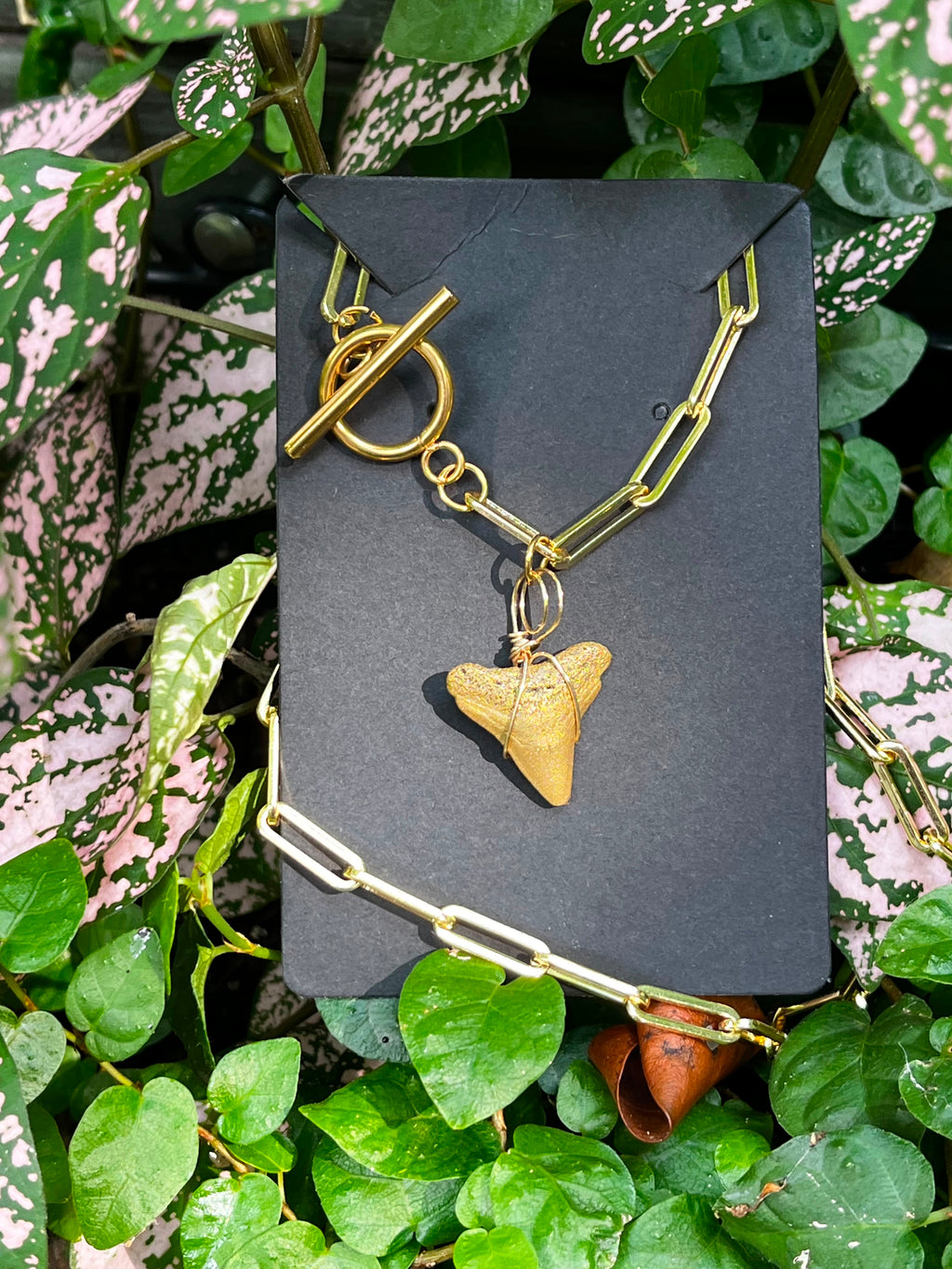 Unlocked Necklace — Gold Hand-Painted Shark Tooth, Paperclip Chain with Statement Front Toggle | Fossil Shark Tooth Jewelry | Venice FL Collection