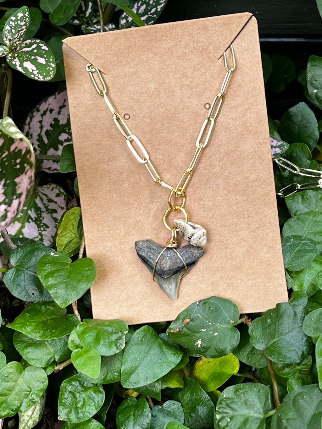 Shell & Stone Necklace — Natural Shark Tooth & Seashell, Gold Paperclip Chain | Fossil Shark Tooth Jewelry | Venice FL Collection