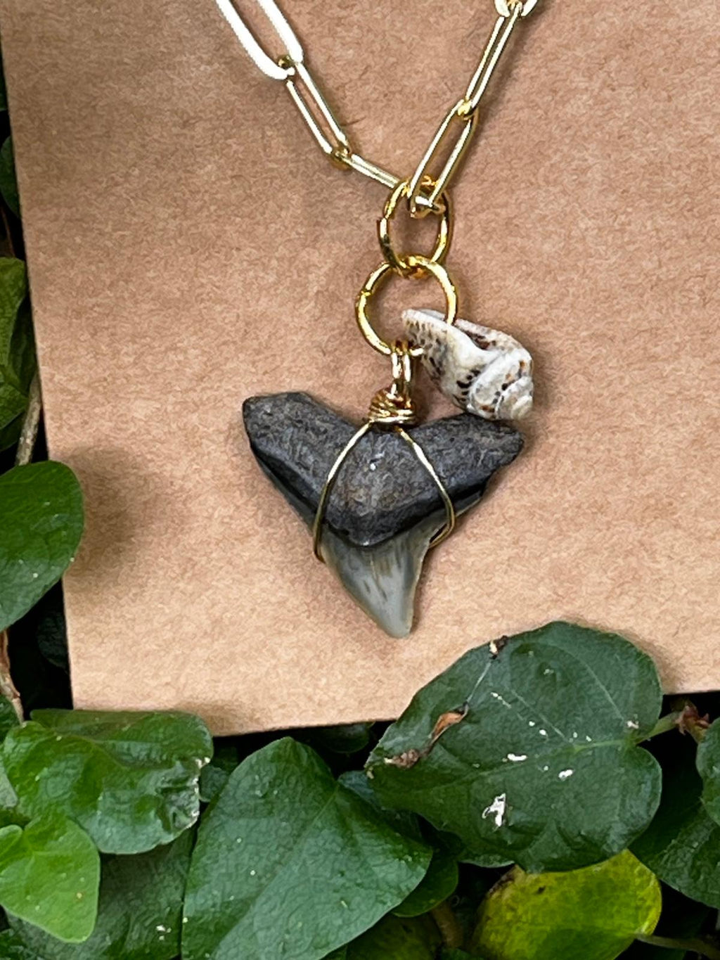 Shell & Stone Necklace — Natural Shark Tooth & Seashell, Gold Paperclip Chain | Fossil Shark Tooth Jewelry | Venice FL Collection
