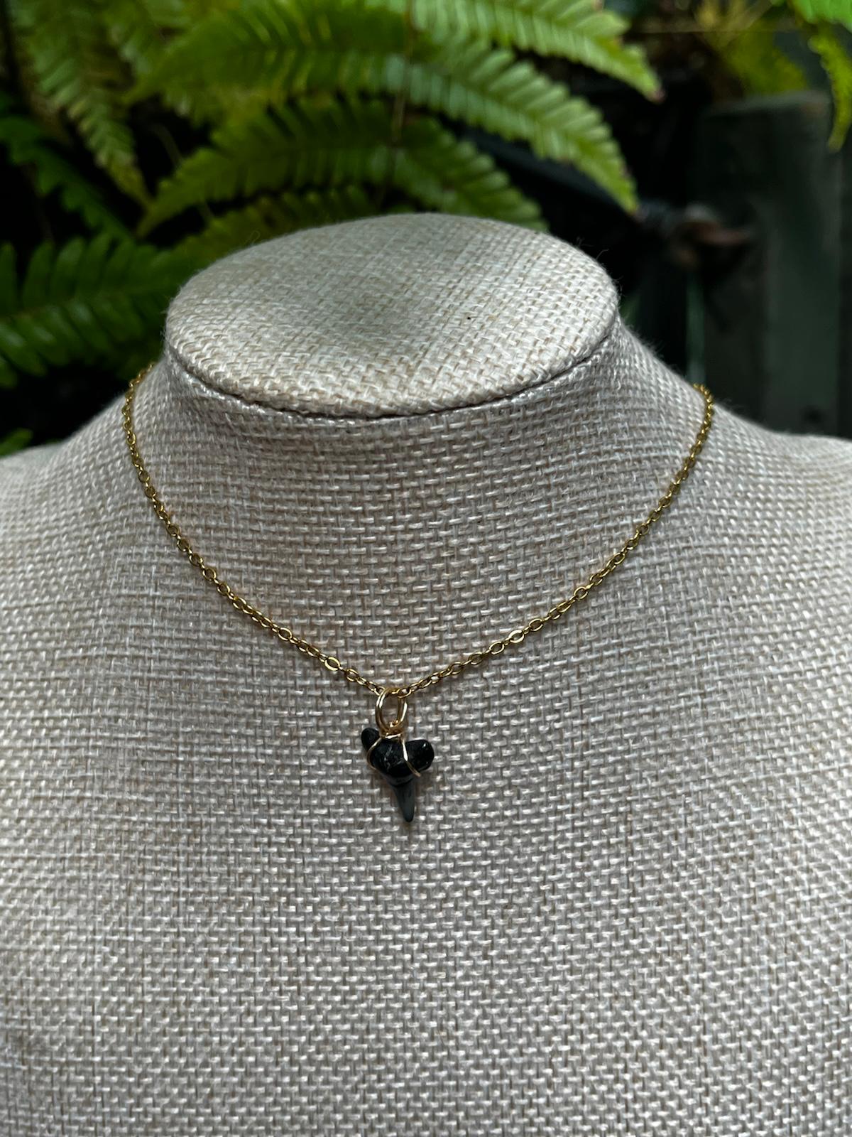 Her First Fossil — Dainty Fossil Shark Tooth Necklace
