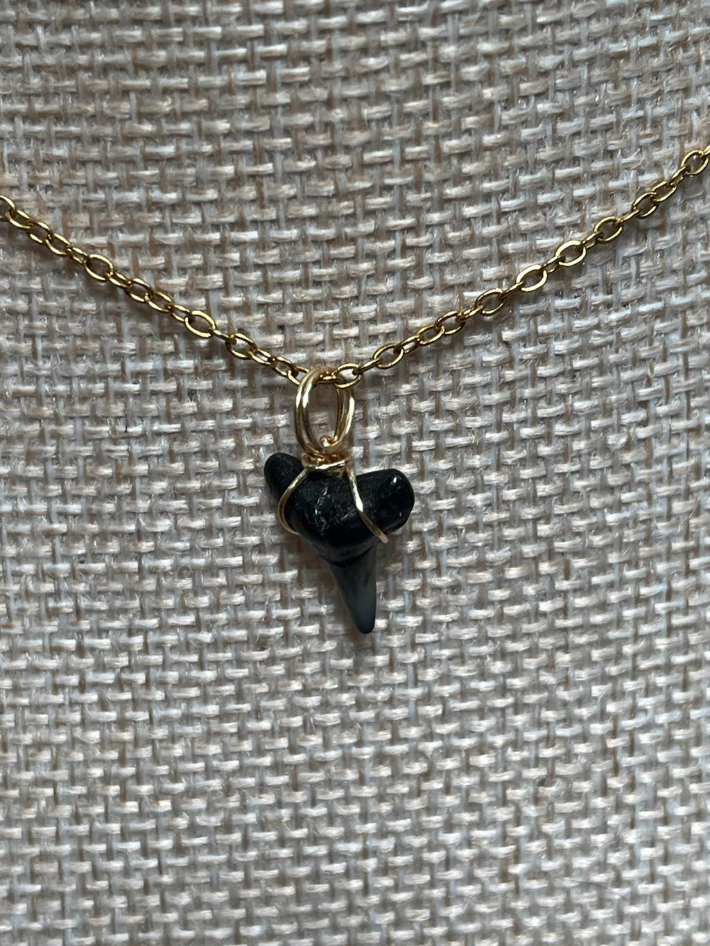 Her First Fossil — Dainty Fossil Shark Tooth Necklace