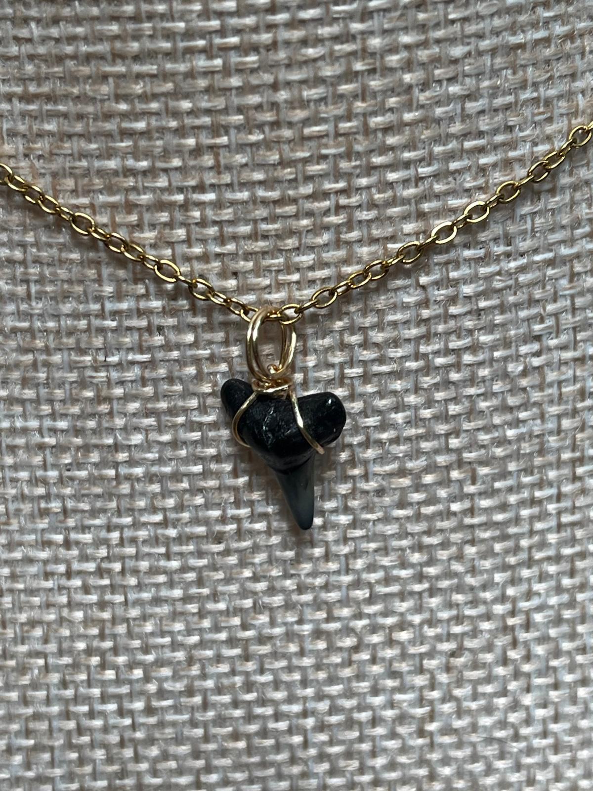 Her First Fossil — Dainty Fossil Shark Tooth Necklace