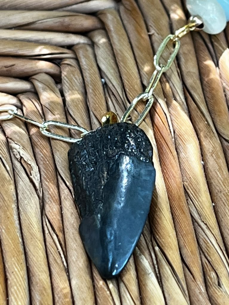 Beautifully Broken  Hastalis Fossil Shark Tooth & Morganite Necklace