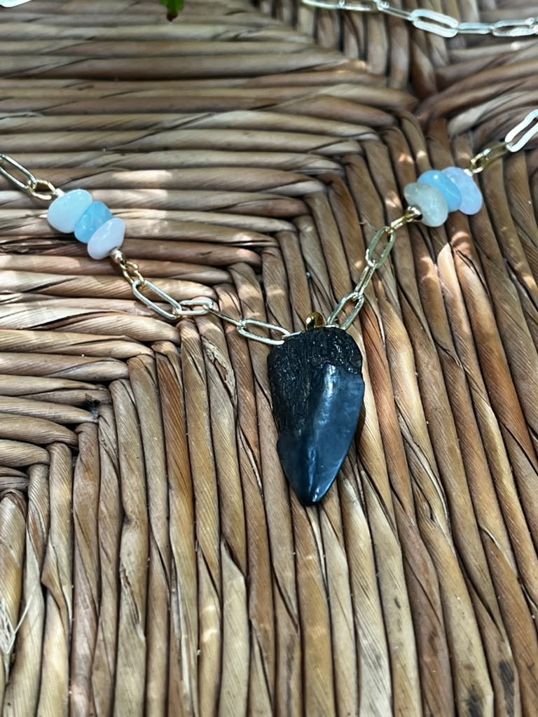 Beautifully Broken  Hastalis Fossil Shark Tooth & Morganite Necklace