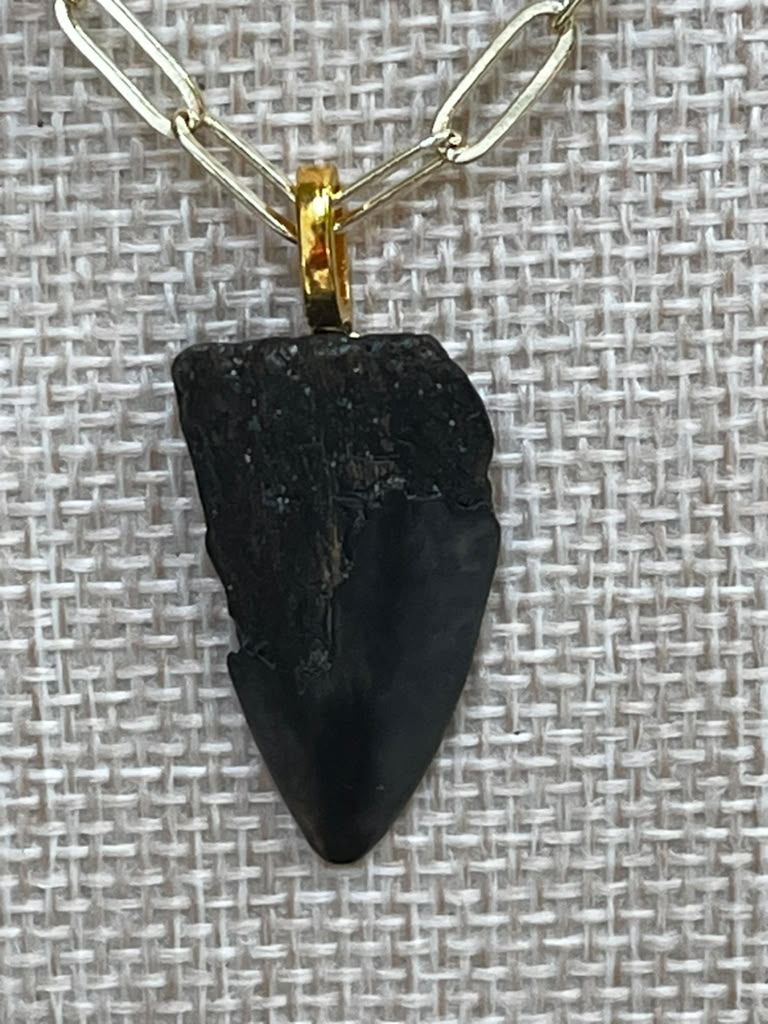Beautifully Broken  Hastalis Fossil Shark Tooth & Morganite Necklace