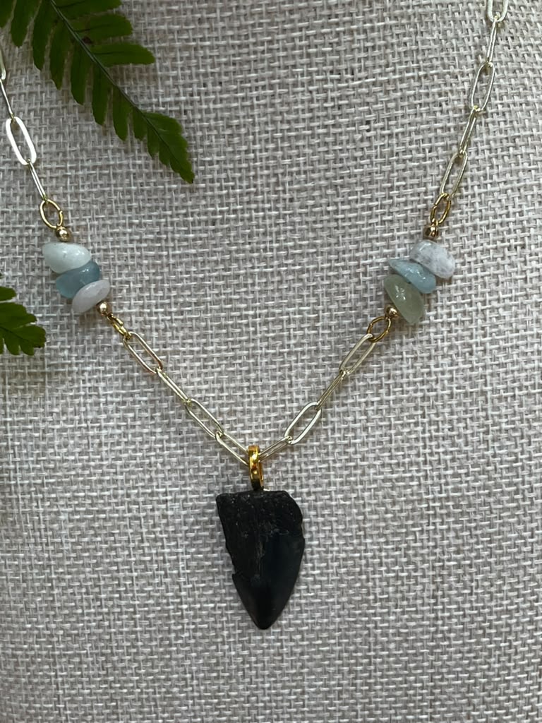 Beautifully Broken  Hastalis Fossil Shark Tooth & Morganite Necklace