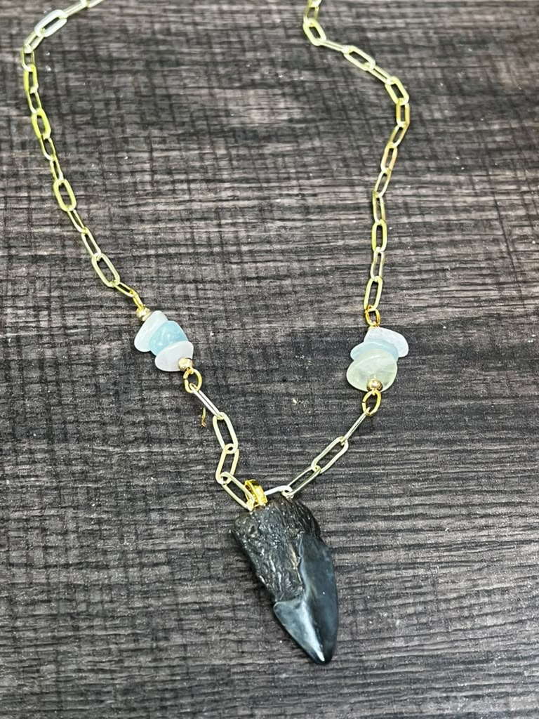 Beautifully Broken  Hastalis Fossil Shark Tooth & Morganite Necklace
