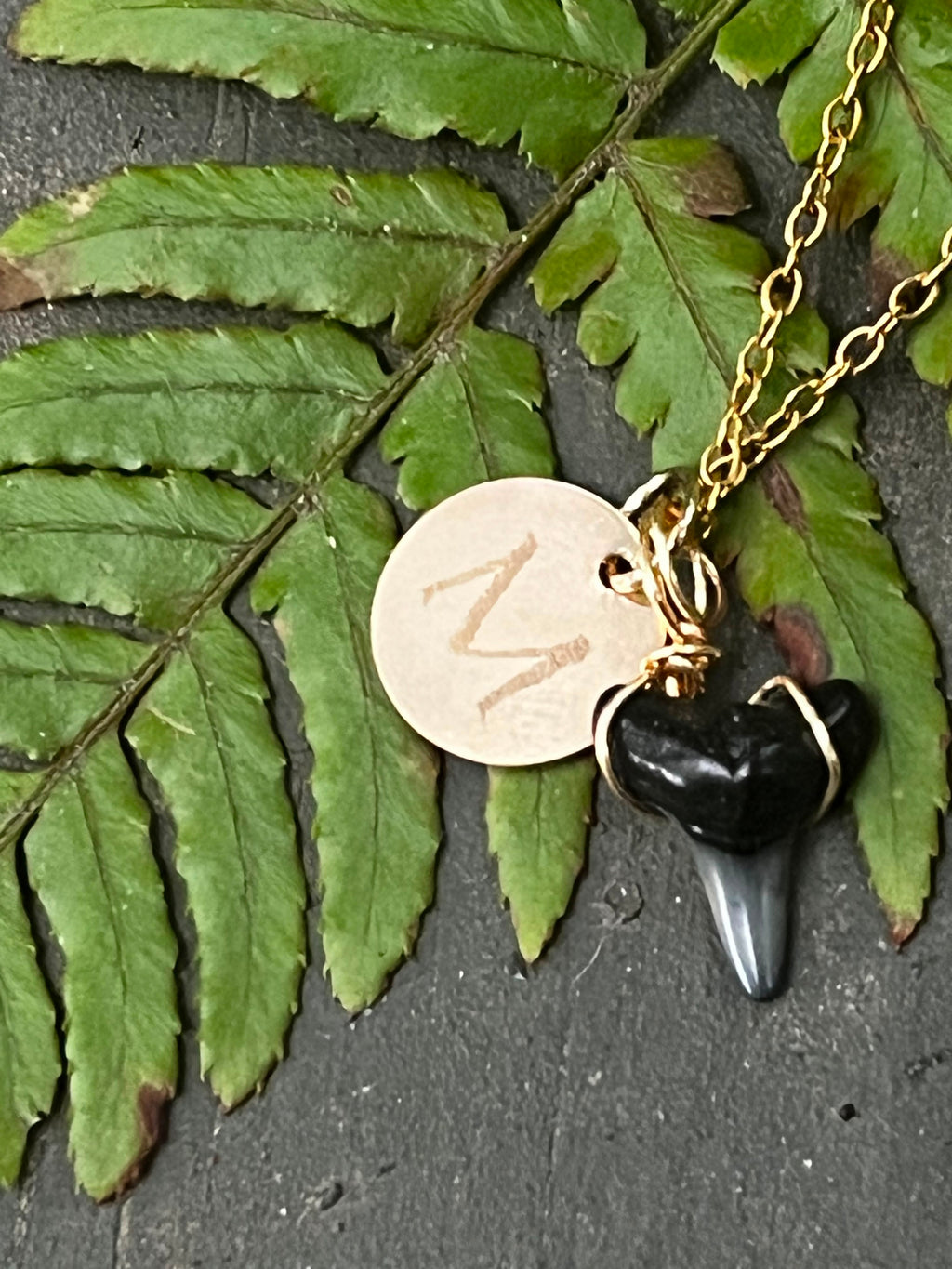 Her First Fossil — Dainty Fossil Shark Tooth Necklace