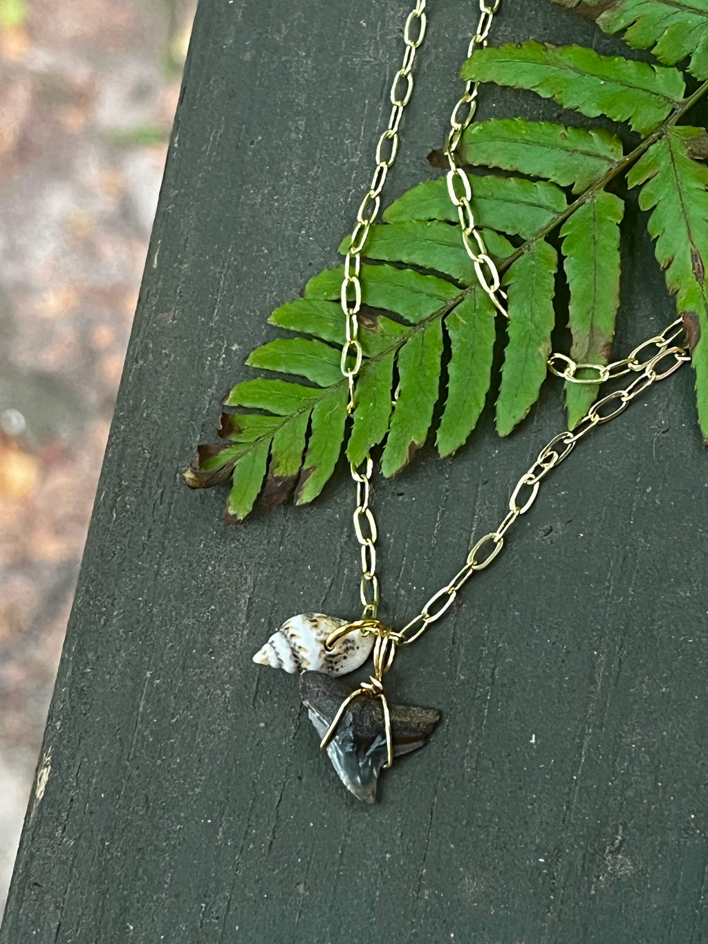 Her First Fossil — Dainty Fossil Shark Tooth Necklace