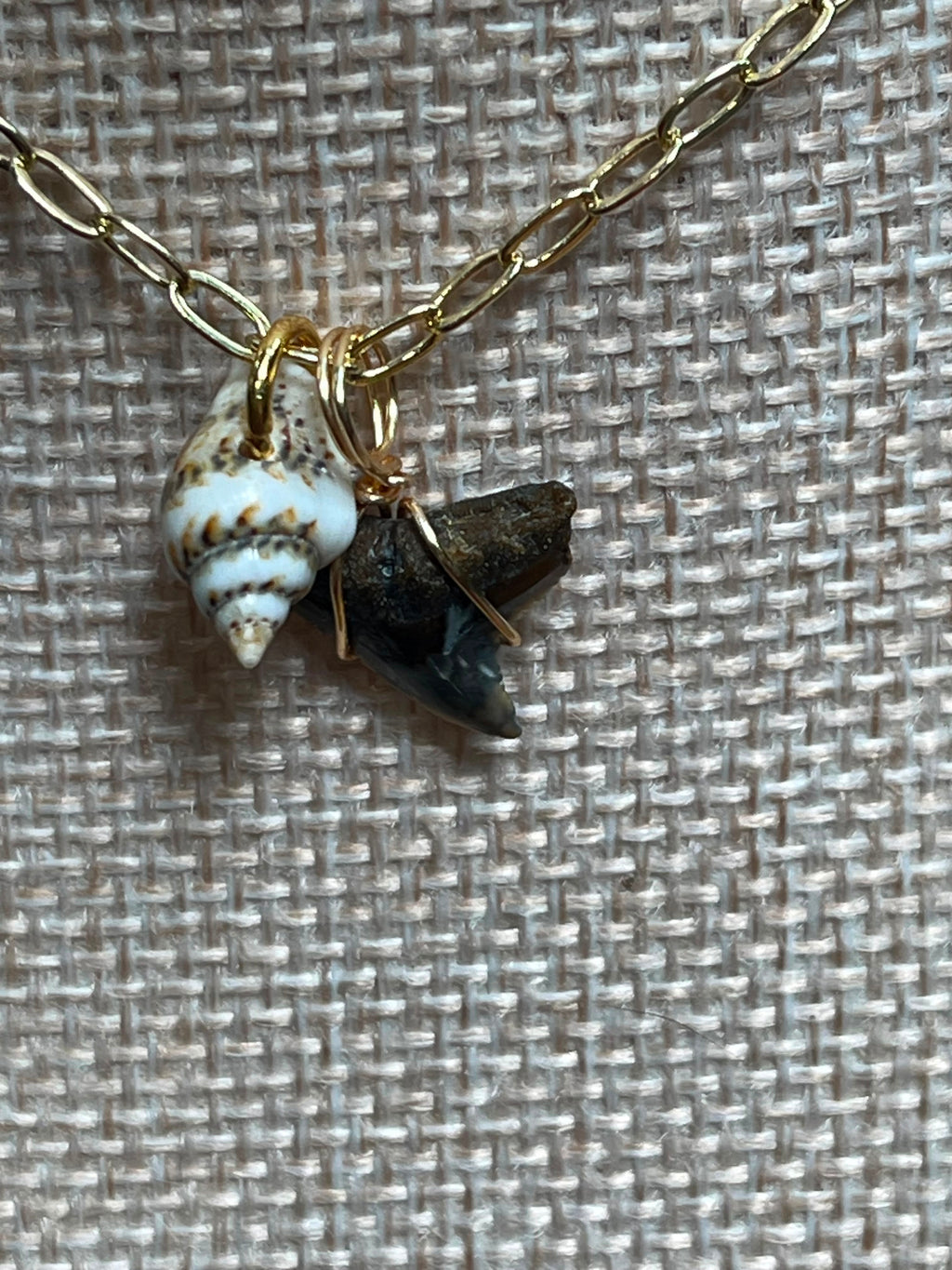 Her First Fossil — Dainty Fossil Shark Tooth Necklace