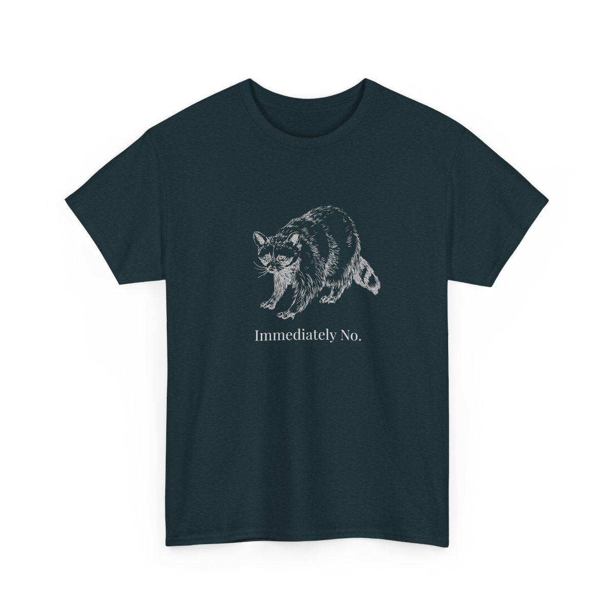 Immediately No Raccoon Shirt, Funny Boundary Setting T-Shirt, Confidence Quote Graphic Tee, Unisex Gildan 5000 Heavy Cotton, Gift for Her
